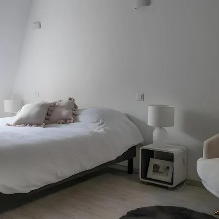 Daire Spacieux Duplex Design - Centre *